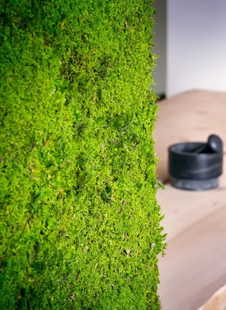 Preserved oss Decor Moss Panels in dining room interior Decormania UK